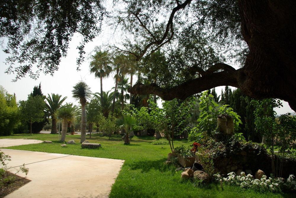 Sa Cabana Hotel & Spa - Adults Only Consell Kültér fotó